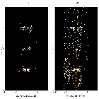 Order-sorting image_NGC 5548_obsid_15659