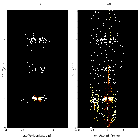 Order-sorting image_NGC 5548_obsid_15660