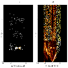 Order-sorting image_BP Tau_obsid_16205
