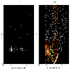 Order-sorting image_RX J1856.5-3754 _obsid_17394