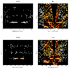 Order-sorting image_Cyg OB2-12_obsid_16659
