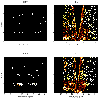 Order-sorting image_tau CMa_obsid_17441