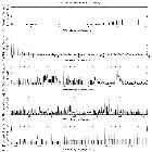 Flux spectrum (1)_RCW 38_obsid_12351
