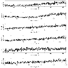 Counts Spectrum (2)_HZ 43_obsid_19840
