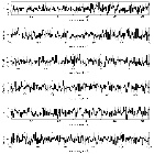 Counts Spectrum (2)_RT Cru_obsid_16688