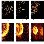 Source region detail images_Kepler SNR_obsid_17901