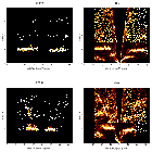 Order-sorting image_Kepler SNR_obsid_17901