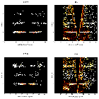 Order-sorting image_NGC 3783_obsid_19694