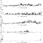 Flux spectrum (2)_GRS 1915+105_obsid_19719