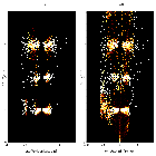 Order-sorting image_Mrk 421_obsid_20713