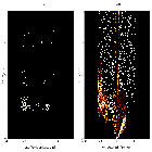 Order-sorting image_RX J1856.5-3754 _obsid_20718