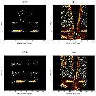 Order-sorting image_zeta Pup_obsid_20157