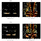 Order-sorting image_zeta Pup_obsid_21661