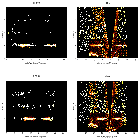 Order-sorting image_zeta Pup_obsid_21659