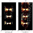 Order-sorting image_Mrk 421_obsid_22084