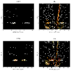 Order-sorting image_zeta Pup_obsid_20155