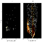 Order-sorting image_RX J1856.5-3754 _obsid_21809