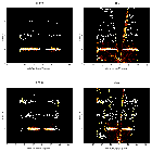 Order-sorting image_theta 1 Ori C_obsid_23008