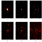 Source region detail images_theta 1 Ori C_obsid_23120