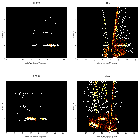 Order-sorting image_SN 1987A_obsid_21304