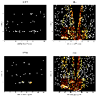 Order-sorting image_Brey 84_obsid_23330
