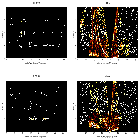 Order-sorting image_Brey 84_obsid_22691
