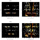 Order-sorting image_SS 433_obsid_24702