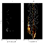 Order-sorting image_RXJ1856.6-3754_obsid_27106