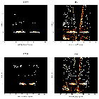Order-sorting image_M33 X-8_obsid_26085