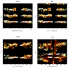 Order-sorting image_Her X-1 (4U 1656+35)_obsid_28375