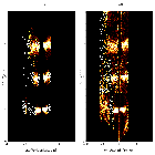 Order-sorting image_Mrk 421_obsid_28463