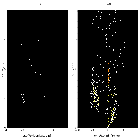 Order-sorting image_RXJ1856.6-3754_obsid_29483