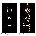 Order-sorting image_Mrk 421_obsid_29609
