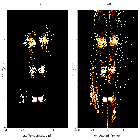 Order-sorting image_Mrk 421_obsid_29610