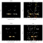 Order-sorting image_NGC 3783_obsid_29495