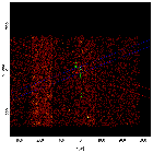 Sky field image_CH Cyg_obsid_1904