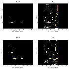 Order-sorting image_zeta Pup_obsid_30589